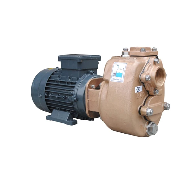 A picture of our BBA Self Priming Centrifugal Pump in Bronze
