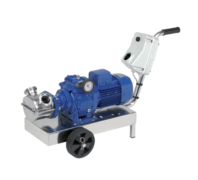 a picture of a Gearbox Drive Flexible Impeller Pump