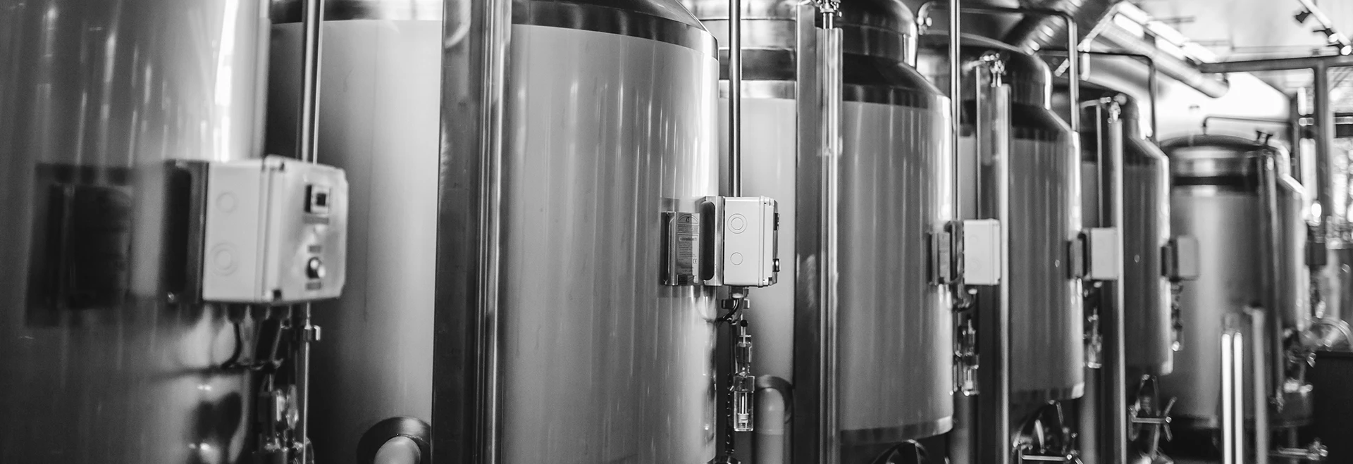 Picture of brewery production line