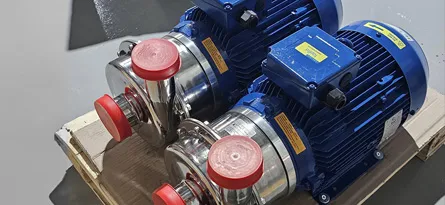 2 Centrifugal Pumps next to one another on a skid